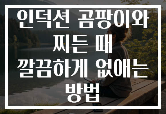 인덕션 곰팡이와 찌든 때 깔끔하게 없애는 방법 인덕션 곰팡이와 찌든 때 깔끔하게 없애는 방법