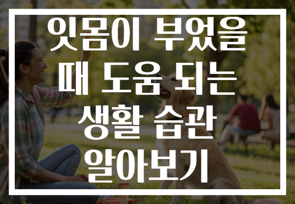 잇몸이 부었을 때 도움 되는 생활 습관 알아보기 잇몸이 부었을 때 도움 되는 생활 습관 알아보기