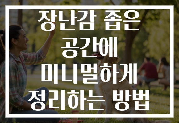 장난감 좁은 공간에 미니멀하게 정리하는 방법 장난감 좁은 공간에 미니멀하게 정리하는 방법