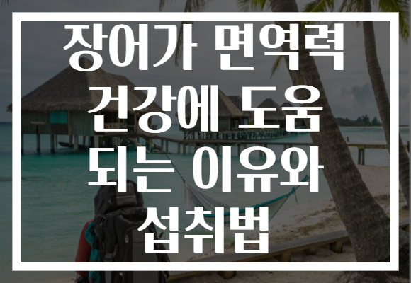 장어가 면역력 건강에 도움 되는 이유와 섭취법 장어가 면역력 건강에 도움 되는 이유와 섭취법