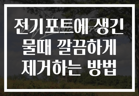 전기포트에 생긴 물때 깔끔하게 제거하는 방법 전기포트에 생긴 물때 깔끔하게 제거하는 방법