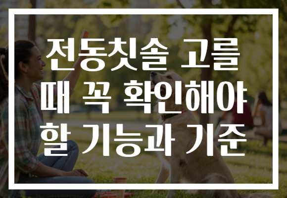 전동칫솔 고를 때 꼭 확인해야 할 기능과 기준