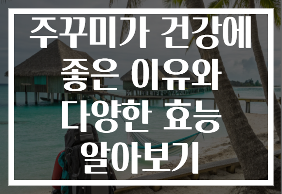 주꾸미가 건강에 좋은 이유와 다양한 효능 알아보기