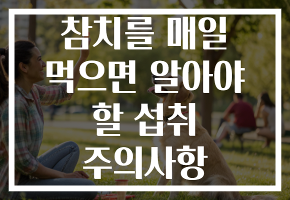 참치를 매일 먹으면 알아야 할 섭취 주의사항