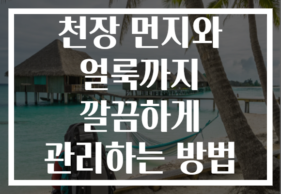 천장 먼지와 얼룩까지 깔끔하게 관리하는 방법 천장 먼지와 얼룩까지 깔끔하게 관리하는 방법