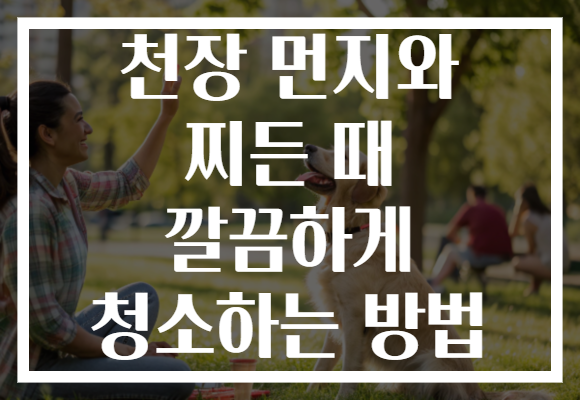 천장 먼지와 찌든 때 깔끔하게 청소하는 방법 천장 먼지와 찌든 때 깔끔하게 청소하는 방법