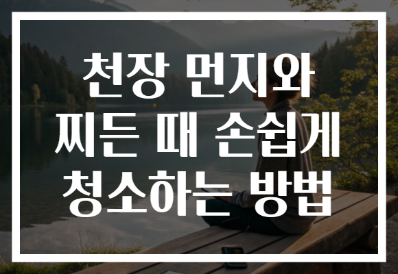 천장 먼지와 찌든 때 손쉽게 청소하는 방법 천장 먼지와 찌든 때 손쉽게 청소하는 방법
