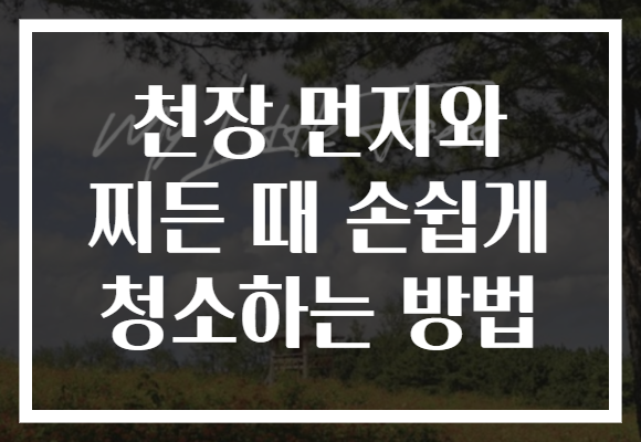 천장 먼지와 찌든 때 손쉽게 청소하는 방법