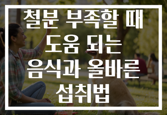 철분 부족할 때 도움 되는 음식과 올바른 섭취법