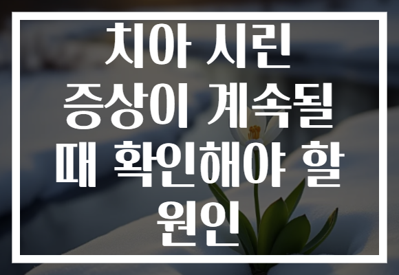 치아 시린 증상이 계속될 때 확인해야 할 원인