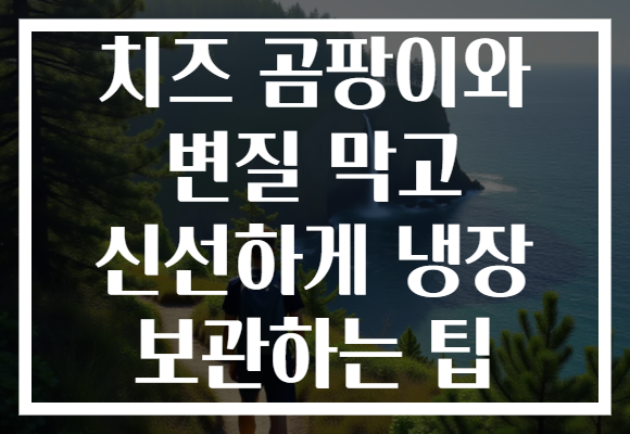 치즈 곰팡이와 변질 막고 신선하게 냉장 보관하는 팁 치즈 곰팡이와 변질 막고 신선하게 냉장 보관하는 팁