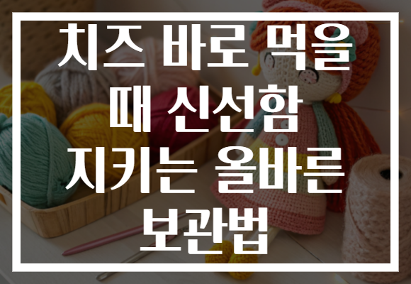 치즈 바로 먹을 때 신선함 지키는 올바른 보관법