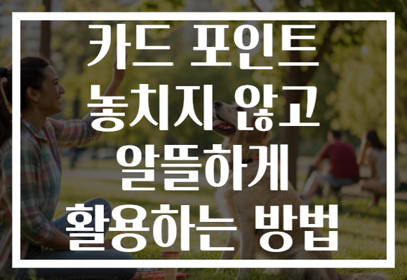 카드 포인트 놓치지 않고 알뜰하게 활용하는 방법 카드 포인트 놓치지 않고 알뜰하게 활용하는 방법