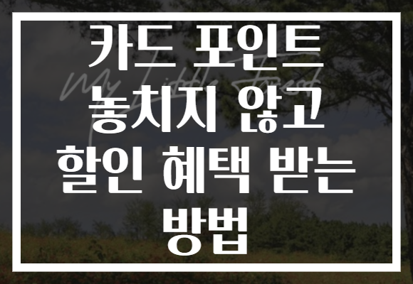 카드 포인트 놓치지 않고 할인 혜택 받는 방법