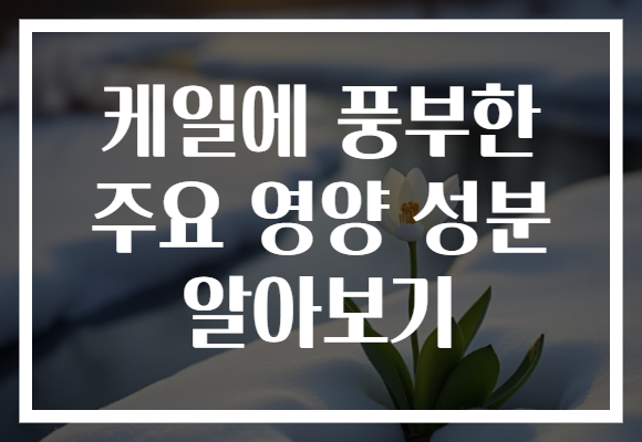 케일에 풍부한 주요 영양 성분 알아보기 케일에 풍부한 주요 영양 성분 알아보기