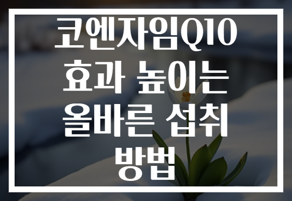 코엔자임Q10 효과 높이는 올바른 섭취 방법