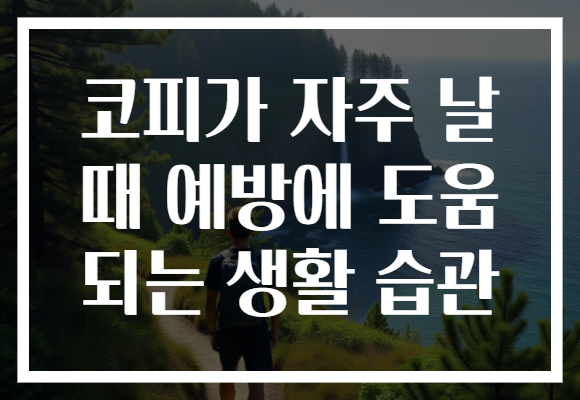 코피가 자주 날 때 예방에 도움 되는 생활 습관 코피가 자주 날 때 예방에 도움 되는 생활 습관