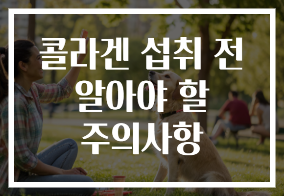 콜라겐 섭취 전 알아야 할 주의사항