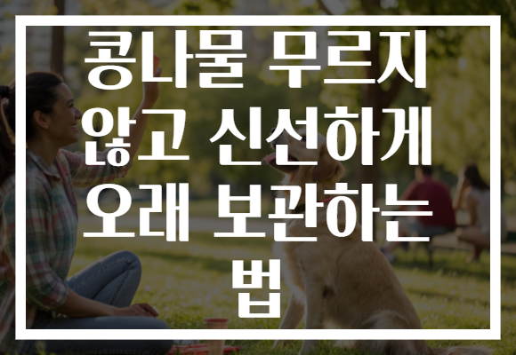 콩나물 무르지 않고 신선하게 오래 보관하는 법