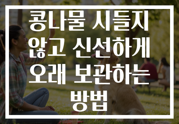 콩나물 시들지 않고 신선하게 오래 보관하는 방법 콩나물 시들지 않고 신선하게 오래 보관하는 방법
