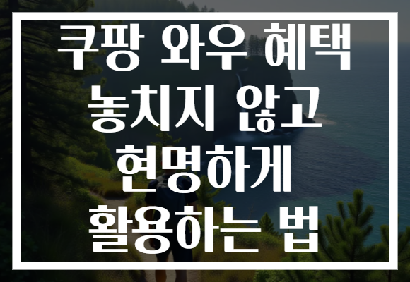 쿠팡 와우 혜택 놓치지 않고 현명하게 활용하는 법