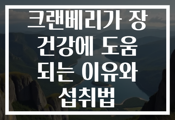 크랜베리가 장 건강에 도움 되는 이유와 섭취법 크랜베리가 장 건강에 도움 되는 이유와 섭취법