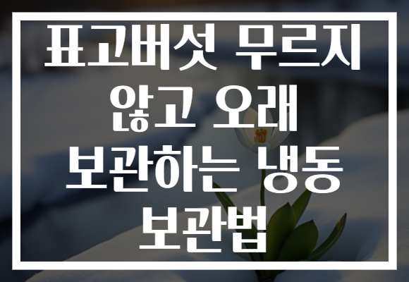 표고버섯 무르지 않고 오래 보관하는 냉동 보관법 표고버섯 무르지 않고 오래 보관하는 냉동 보관법