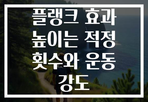 플랭크 효과 높이는 적정 횟수와 운동 강도 플랭크 효과 높이는 적정 횟수와 운동 강도