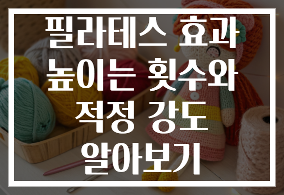 필라테스 효과 높이는 횟수와 적정 강도 알아보기 필라테스 효과 높이는 횟수와 적정 강도 알아보기