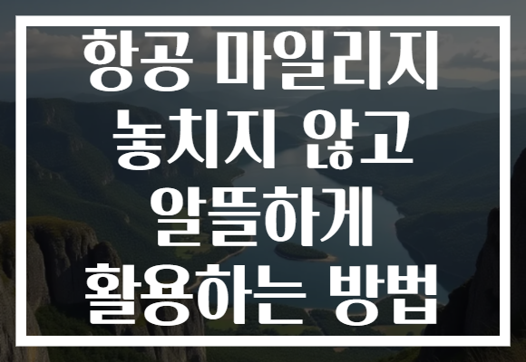 항공 마일리지 놓치지 않고 알뜰하게 활용하는 방법 항공 마일리지 놓치지 않고 알뜰하게 활용하는 방법