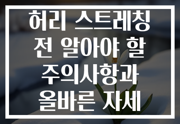 허리 스트레칭 전 알아야 할 주의사항과 올바른 자세