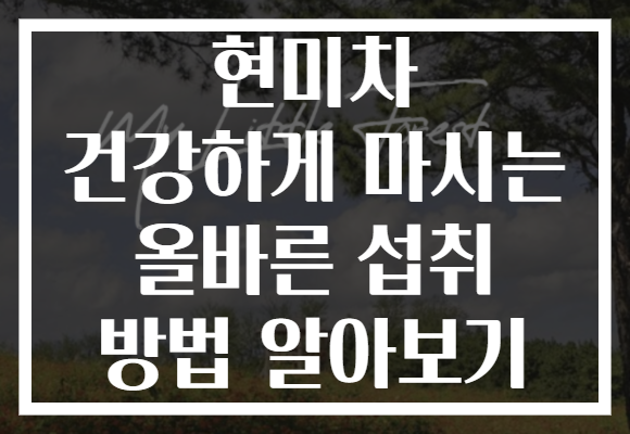 현미차 건강하게 마시는 올바른 섭취 방법 알아보기 현미차 건강하게 마시는 올바른 섭취 방법 알아보기
