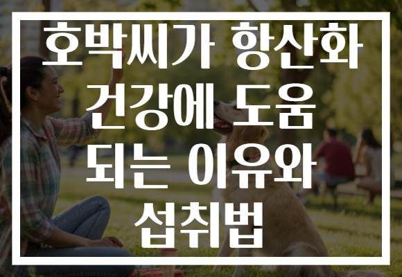 호박씨가 항산화 건강에 도움 되는 이유와 섭취법