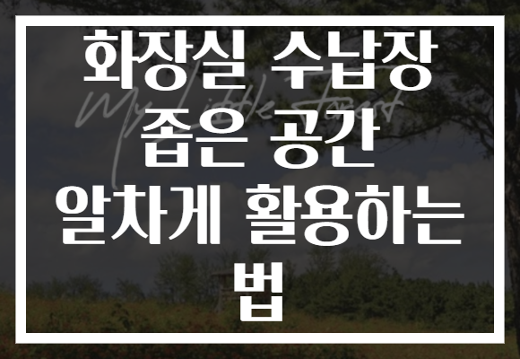 화장실 수납장 좁은 공간 알차게 활용하는 법