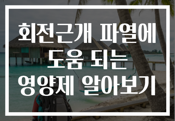 회전근개 파열에 도움 되는 영양제 알아보기