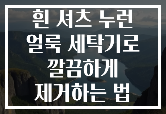 흰 셔츠 누런 얼룩 세탁기로 깔끔하게 제거하는 법 흰 셔츠 누런 얼룩 세탁기로 깔끔하게 제거하는 법