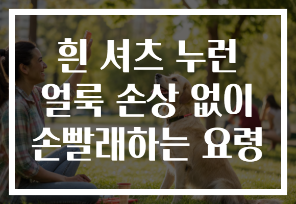 흰 셔츠 누런 얼룩 손상 없이 손빨래하는 요령 흰 셔츠 누런 얼룩 손상 없이 손빨래하는 요령