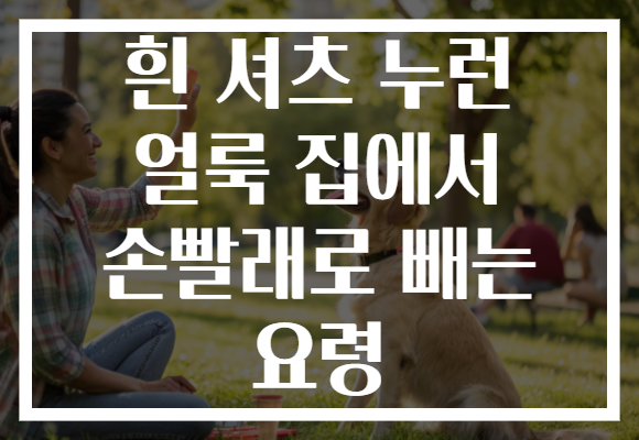 흰 셔츠 누런 얼룩 집에서 손빨래로 빼는 요령 흰 셔츠 누런 얼룩 집에서 손빨래로 빼는 요령