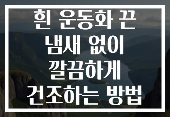 흰 운동화 끈 냄새 없이 깔끔하게 건조하는 방법