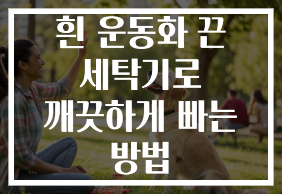 흰 운동화 끈 세탁기로 깨끗하게 빠는 방법