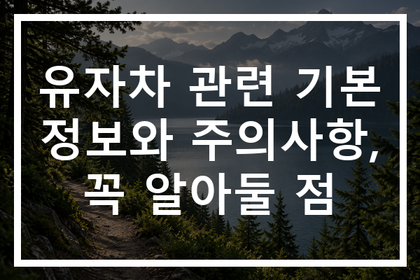 유자차 관련 기본 정보와 주의사항, 꼭 알아둘 점 유자차 관련 기본 정보와 주의사항, 꼭 알아둘 점