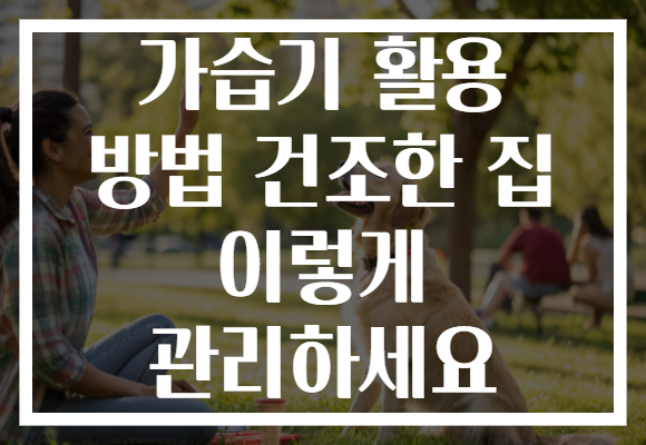 가습기 활용 방법 건조한 집 이렇게 관리하세요 가습기 활용 방법 건조한 집 이렇게 관리하세요