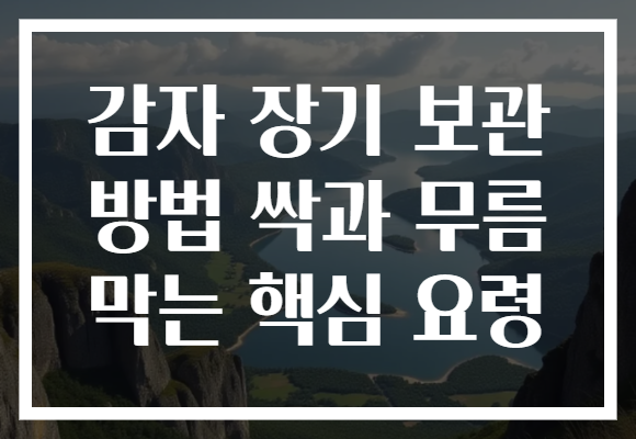 감자 장기 보관 방법 싹과 무름 막는 핵심 요령