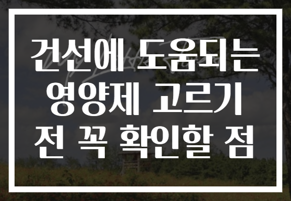 건선에 도움되는 영양제 고르기 전 꼭 확인할 점 건선에 도움되는 영양제 고르기 전 꼭 확인할 점