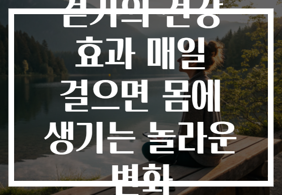 걷기의 건강 효과 매일 걸으면 몸에 생기는 놀라운 변화
