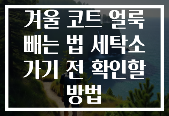 겨울 코트 얼룩 빼는 법 세탁소 가기 전 확인할 방법 겨울 코트 얼룩 빼는 법 세탁소 가기 전 확인할 방법