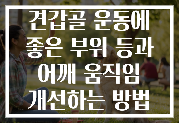견갑골 운동에 좋은 부위 등과 어깨 움직임 개선하는 방법 견갑골 운동에 좋은 부위 등과 어깨 움직임 개선하는 방법