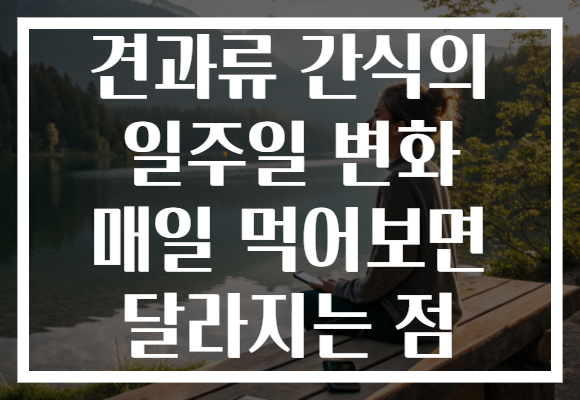 견과류 간식의 일주일 변화 매일 먹어보면 달라지는 점