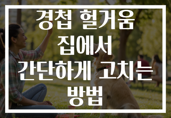 경첩 헐거움 집에서 간단하게 고치는 방법