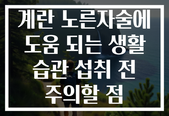 계란 노른자술에 도움 되는 생활 습관 섭취 전 주의할 점